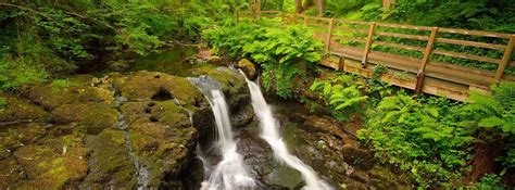 Glenariff Forest Park Waterfall Trail 10adventures