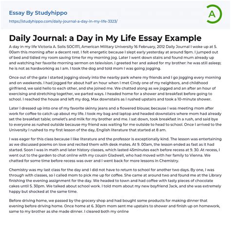Daily Journal A Day In My Life Essay Example