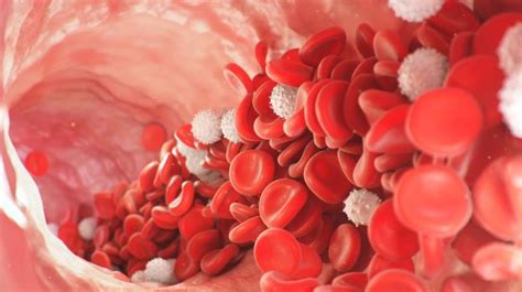 Covid 19 Brief Theories On The Covid 19 Blood Clotting And More Top