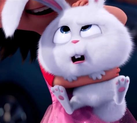 Pin By Snowball On Snowball Secret Life Of Pets Cute Bunny Cartoon