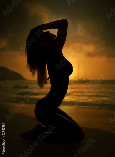Sexy Woman Silhouette And Sunset Beach Stock Photo And Royalty Free Images On Fotolia Com