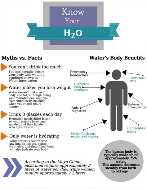 Hydration Is Key And Knowing Your Facts About Water Is Crucial Learn