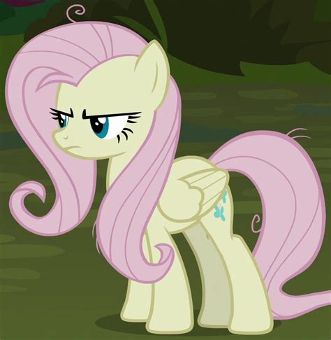 Image Fake Fluttershy Id S8e13png My Little Pony Friendship Is