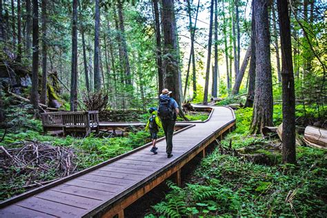 15 Best Hikes In Glacier National Park Photos Helpful Guide