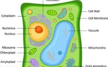 We did not find results for: What is the utility of tissues in multicellular organisms ...