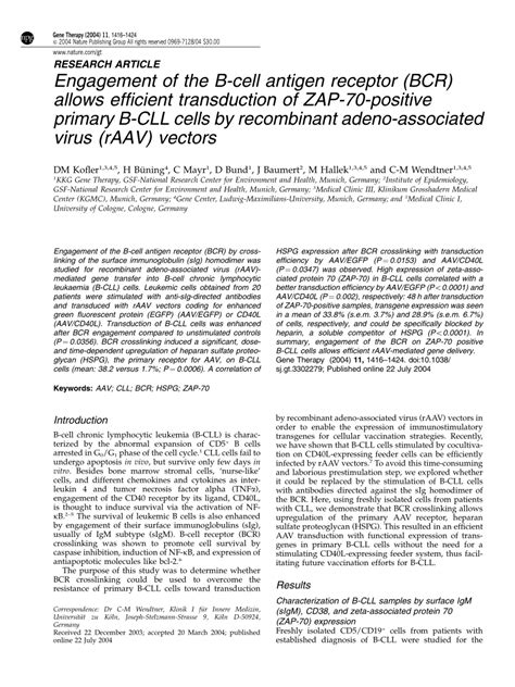 Pdf Engagement Of The B Cell Antigen Receptor Bcr Allows Efficient