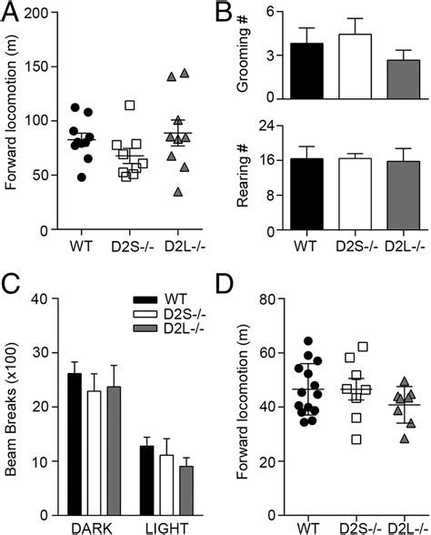 Differential regulation of striatal motor behavior and related cellular
