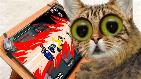 Among Us is not appropriate for THIS CAT #3 - Game videos