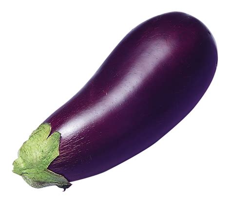 eggplant fruit benefits that you must know ~ world health medicine
