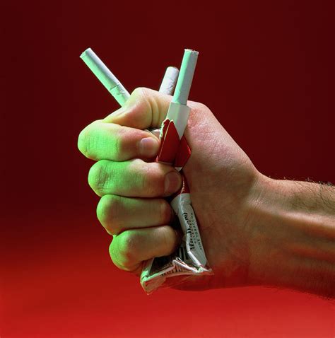 Hand Crushing A Packet Of Cigarettes Photograph By Sheila Terryscience