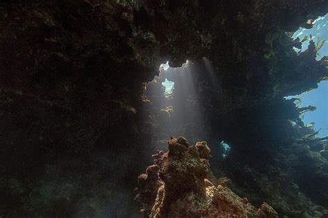 Underwater View Of Grotto In Anegada British Virgin Islands Digital