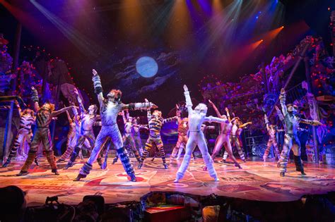 Maybe you would like to learn more about one of these? Cats Broadway Cast 2016 - The Original Cats Musical Is ...
