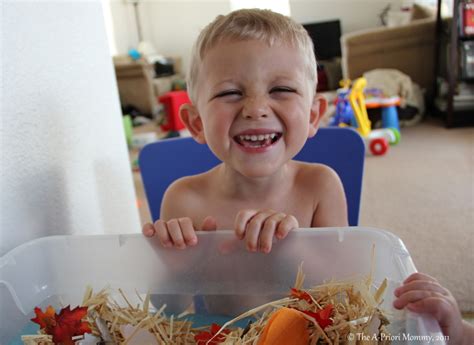 If u need a cake let me know! The A-Priori Mommy: Fall Themed Sensory Box