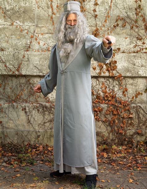 Authentic Dumbledore Costume At Reba Pabon Blog