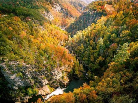 How To Experience The Best Of Georgias Beautiful Fall Colors 2023