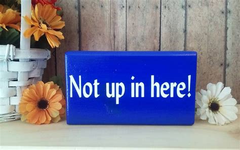 A Blue Sign That Says Not Up In Here On A Shelf Next To Some Flowers