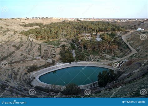 Nefta The Basket South Tunisia Stock Image Image Of Farming