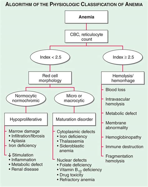 Anemia And Polycythemia Common Patient Presentations Harrisons