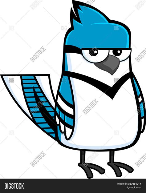 Blue Jay Bird Cartoon Image And Photo Free Trial Bigstock