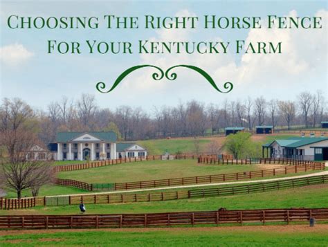 Choosing The Right Horse Fence