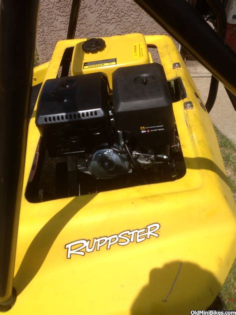 Bringing back the Rupp Ruppster