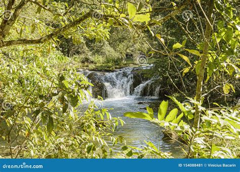 Cascades Of A River Surrounded By Nature Stock Image Image Of Natural