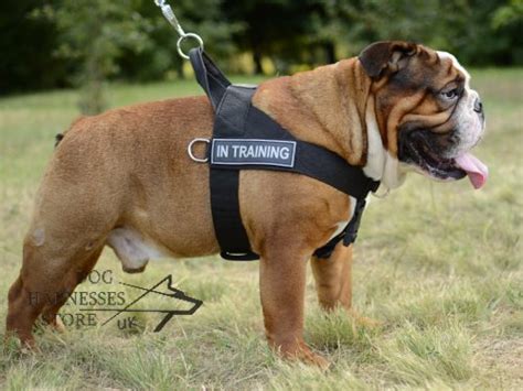 Collars are mostly used for providing identification for dogs. English Bulldog Harness Nylon with Patches ★ - £28.35