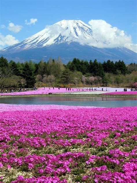 Top 10 Beautiful Places In Japan For Nature Lovers