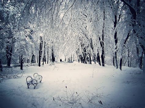 We hope you enjoy our growing collection of hd images to use as a background or home screen for your. Christmas Winter Scenes Wallpaper ·① WallpaperTag
