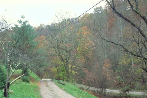 A Dirt Road In The Middle Of A Wooded Area