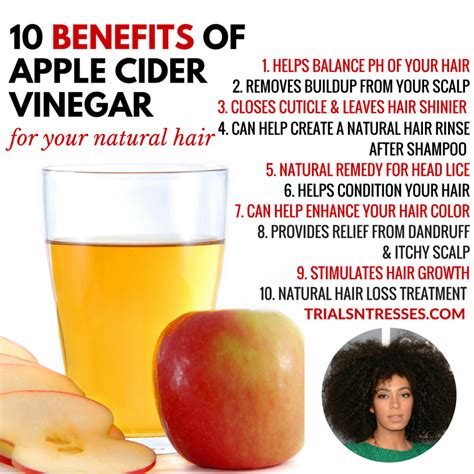 Ammonia, which is often found in glass and window cleaners, is dangerous when mixed with bleach. 10 Benefits Of Apple Cider Vinegar For Your Natural Hair ...