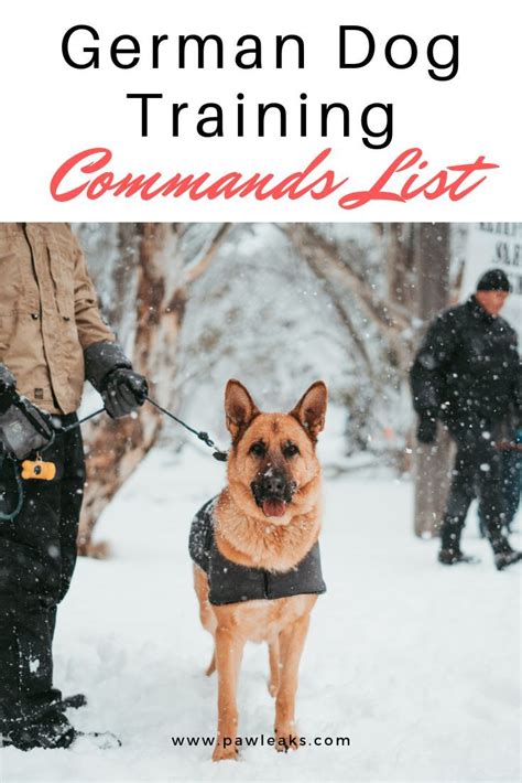 Ultimate German Dog Training Commands List German Shepherd Training