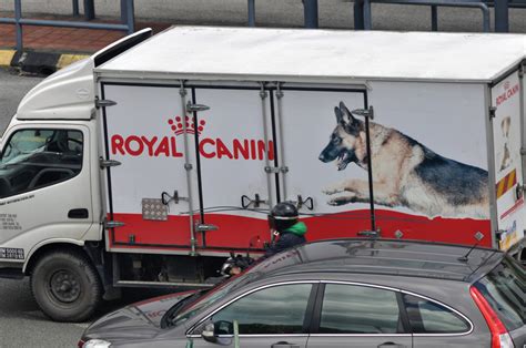 Get services of cat sitting, dog boarding, cat transport montreal. Top Rated Pet Grooming Services With Transport In SG [2018 ...