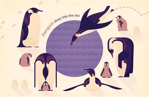 Owen Davey Bird Search On Behance Penguin Illustration Graphic