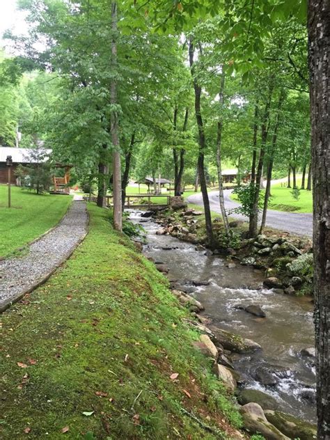Maybe you would like to learn more about one of these? Raccoon Retreat - Lands Creek Log Cabins