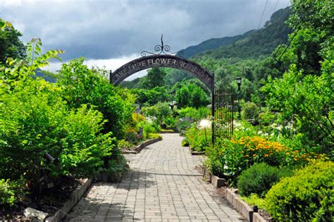 It may sound like something straight from the pages of dr. Lake Lure Flowering Bridge