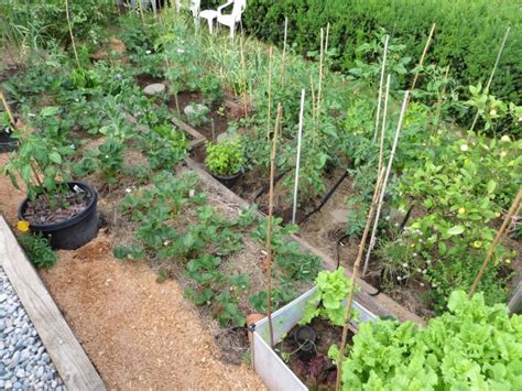 Raised Vegetable Garden On A Slope Modern Home Plans