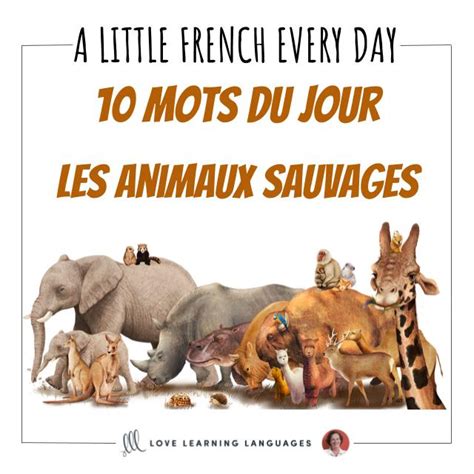 French Vocabulary List Wild Animals Love Learning Languages