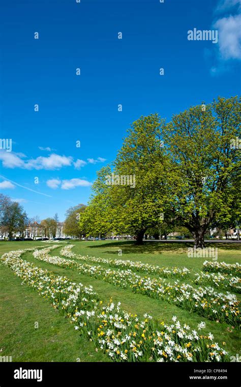 Spring On Ealing Common London United Kingdom Stock Photo Alamy