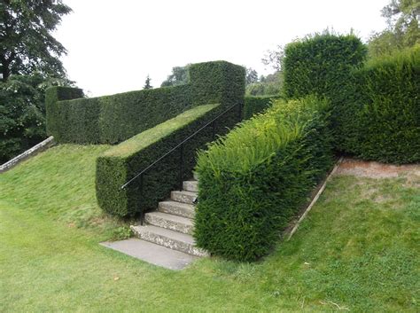 Check out these before and after shots, to see the impact of our high quality hedges. 10 things to do in the January garden. - Buy trees, shrubs ...