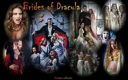 Dracula Brides Funpagez Monsters Dark Desktop Mardi