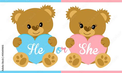 vecteur stock cute vector character illustration teddy bear holding blue and pink heart gender