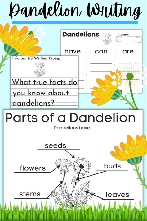 Dandelion Labeling And Informative Writing Prompt With Nouns Adjectives