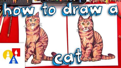 How To Draw A Realistic Cat Youtube