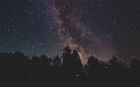 Download Wallpaper 1440x900 Starry Sky Milky Way Trees Stars Night