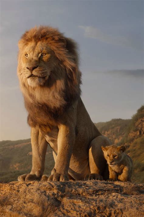 Disney Live Action Lion King Trailer Featuring Simba Lion King Art