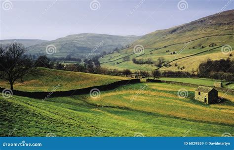 Yorkshire Stock Image Image Of Farmland Landscape Farm 6029559