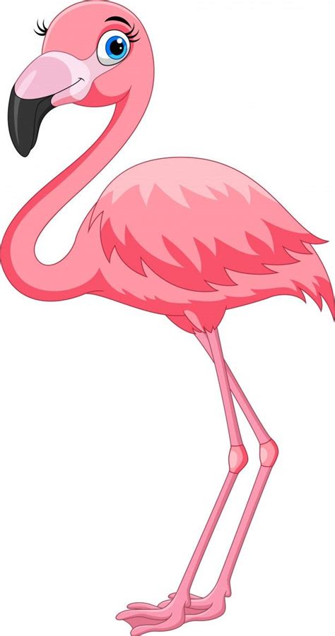 Flamant Rose Dessin Animé Vecteur Premium Flamingo Art Art