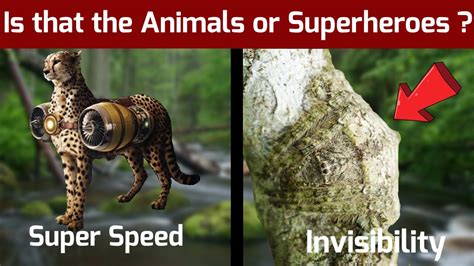Animals With Incredible Super Powers That Will Blow Your Mind Fact