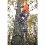 Images of Climbing Sticks For Tree Stands